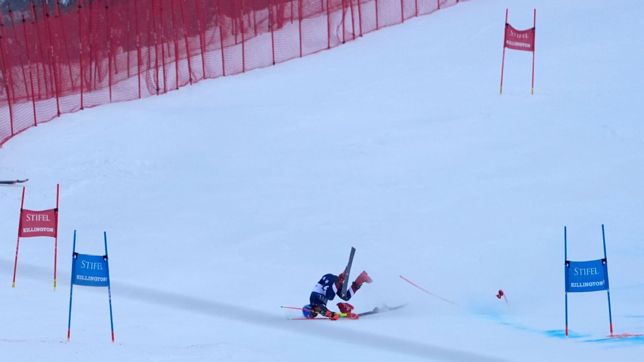 mikaela-shiffrin-fencing-incident-final-run