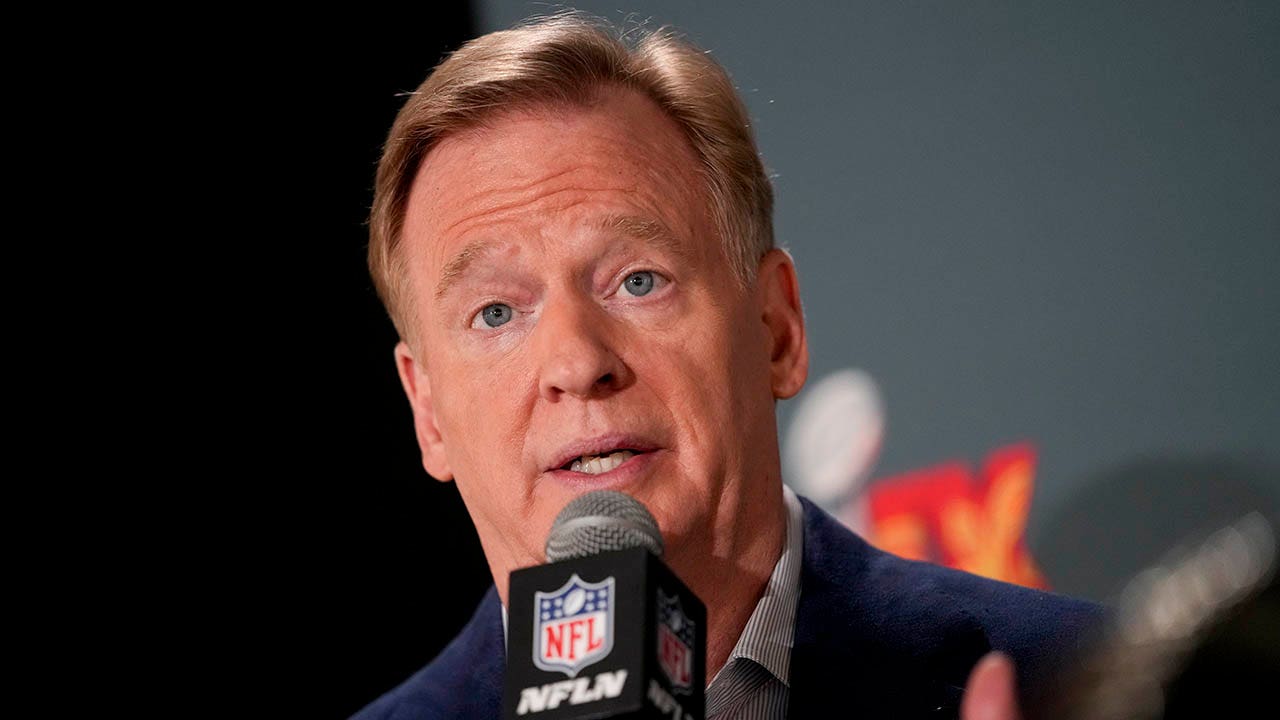 nfl-roger-goodell-dei-policies