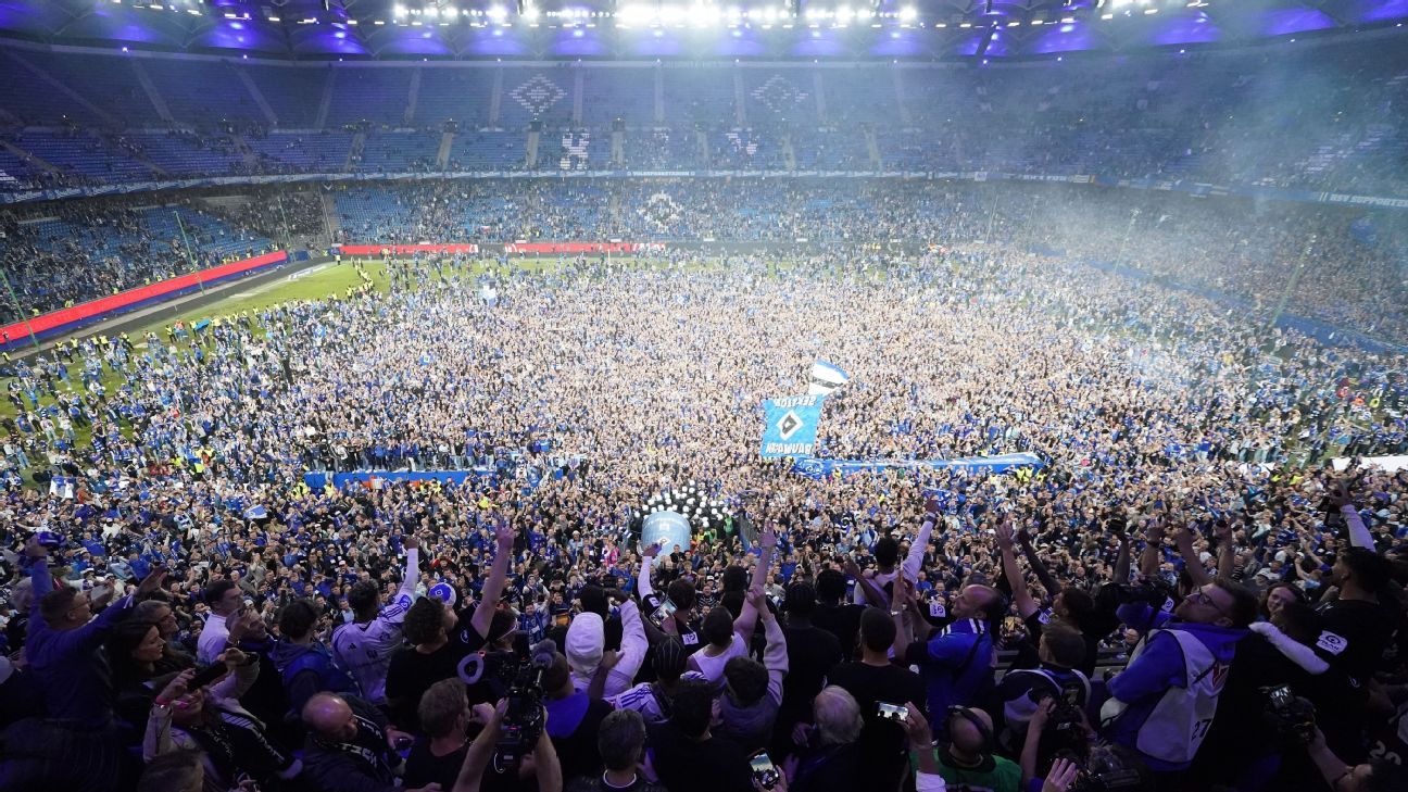hamburg-sv-fan-injuries-bundesliga