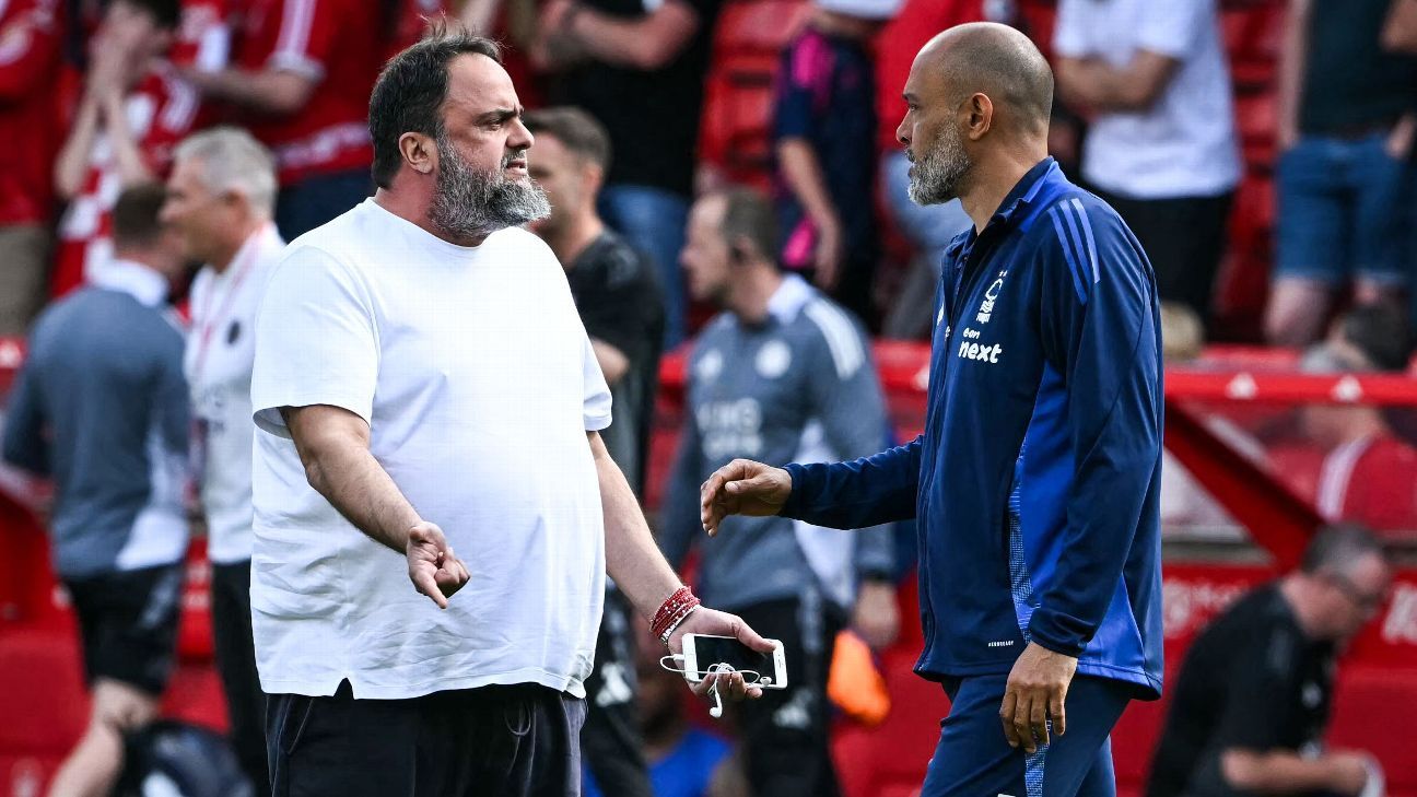 nottingham-forest-marinakis-pitchside-reaction