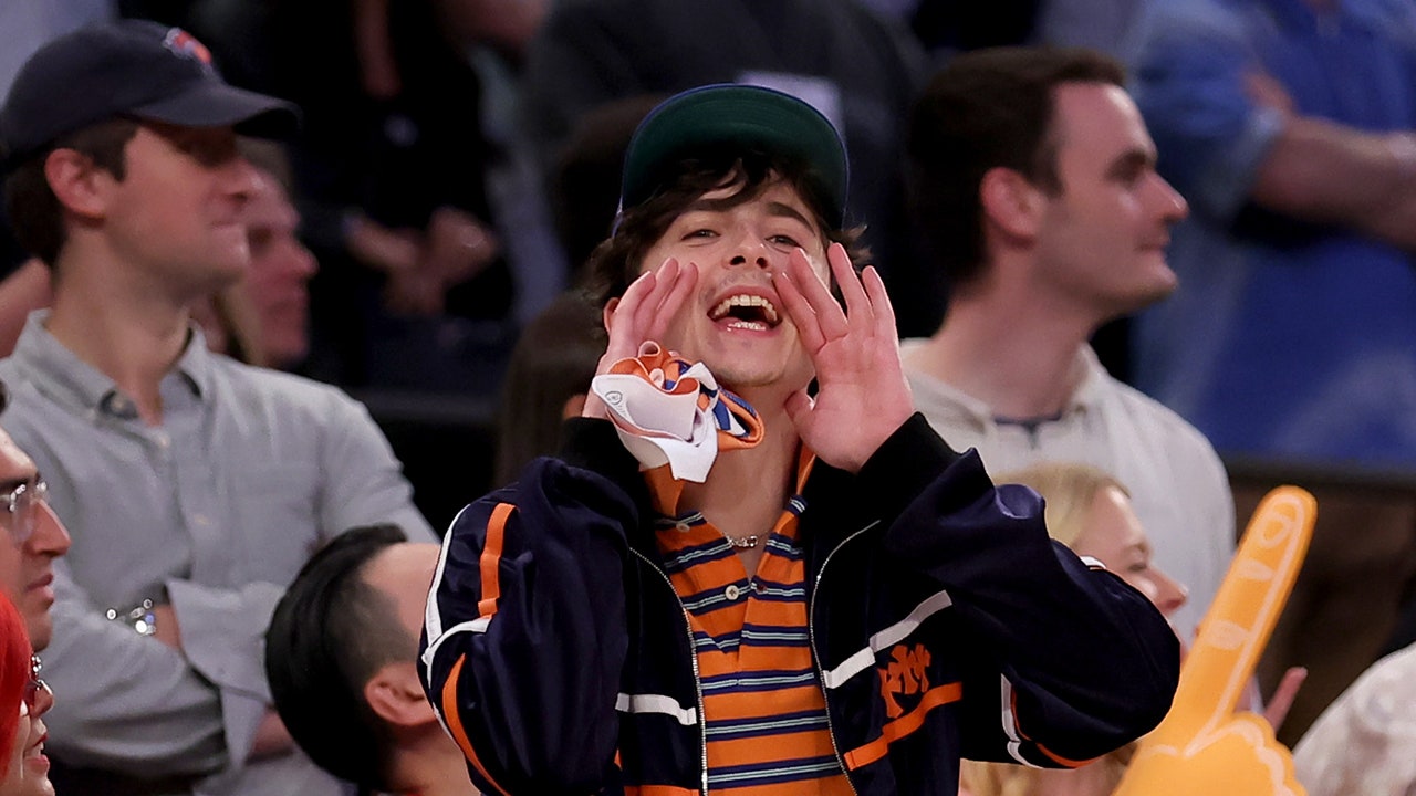 timothee-chalamet-knicks-celebration